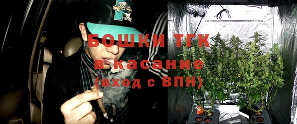 дмт Медногорск